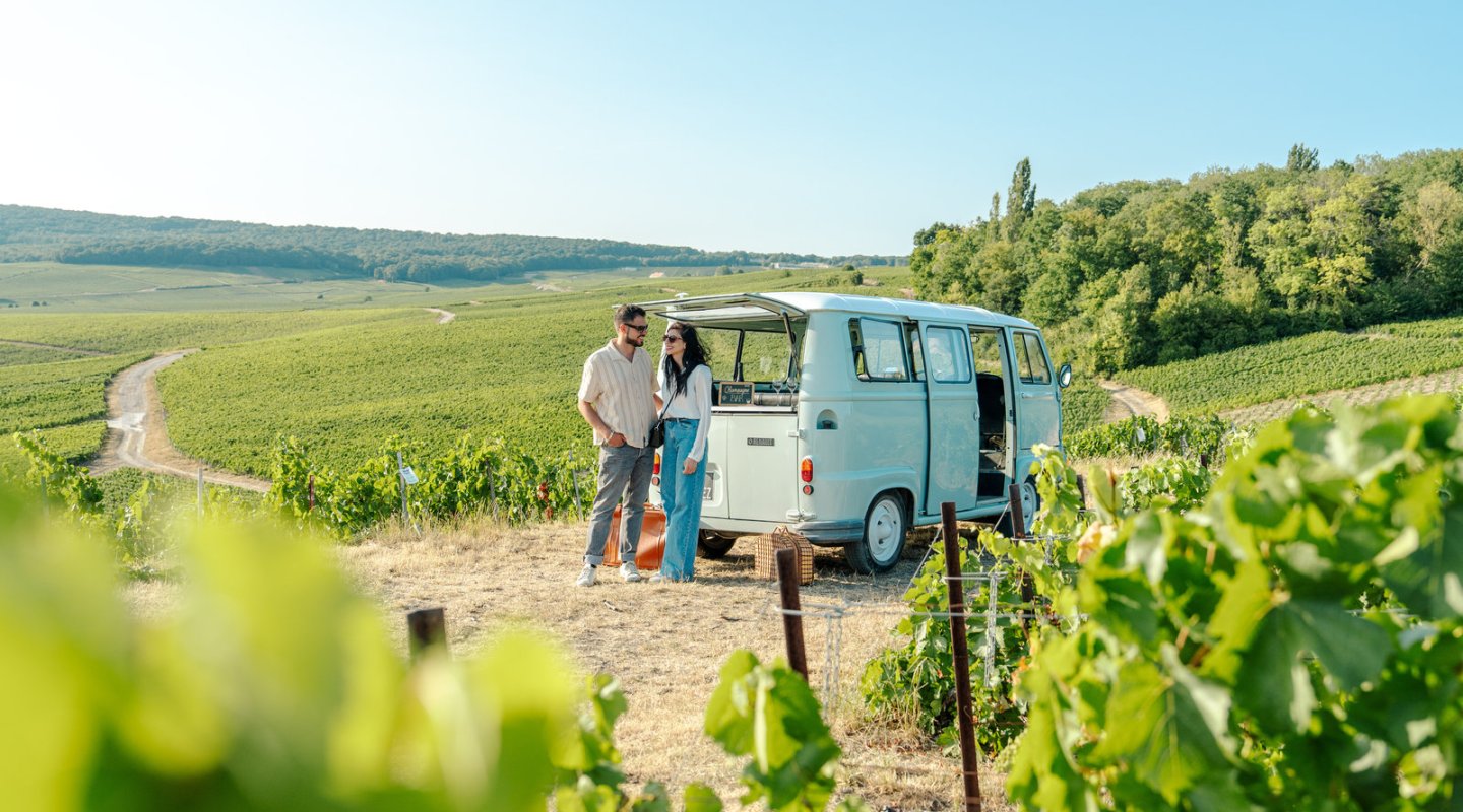 Dégustation dans le vignoble