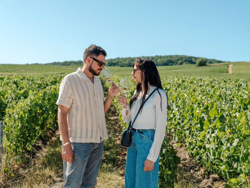 Dégustation de champagne dans le vignoble