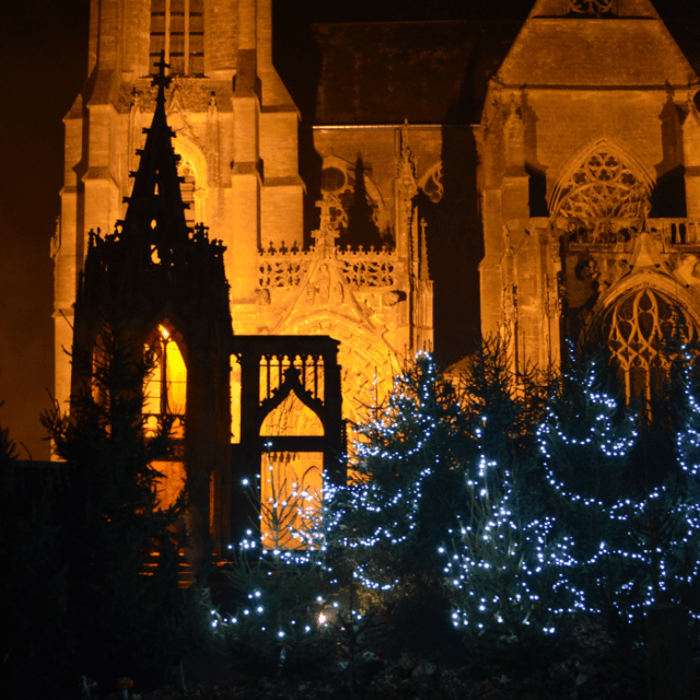 Sapins de Noel devant la basilique d'Avioth