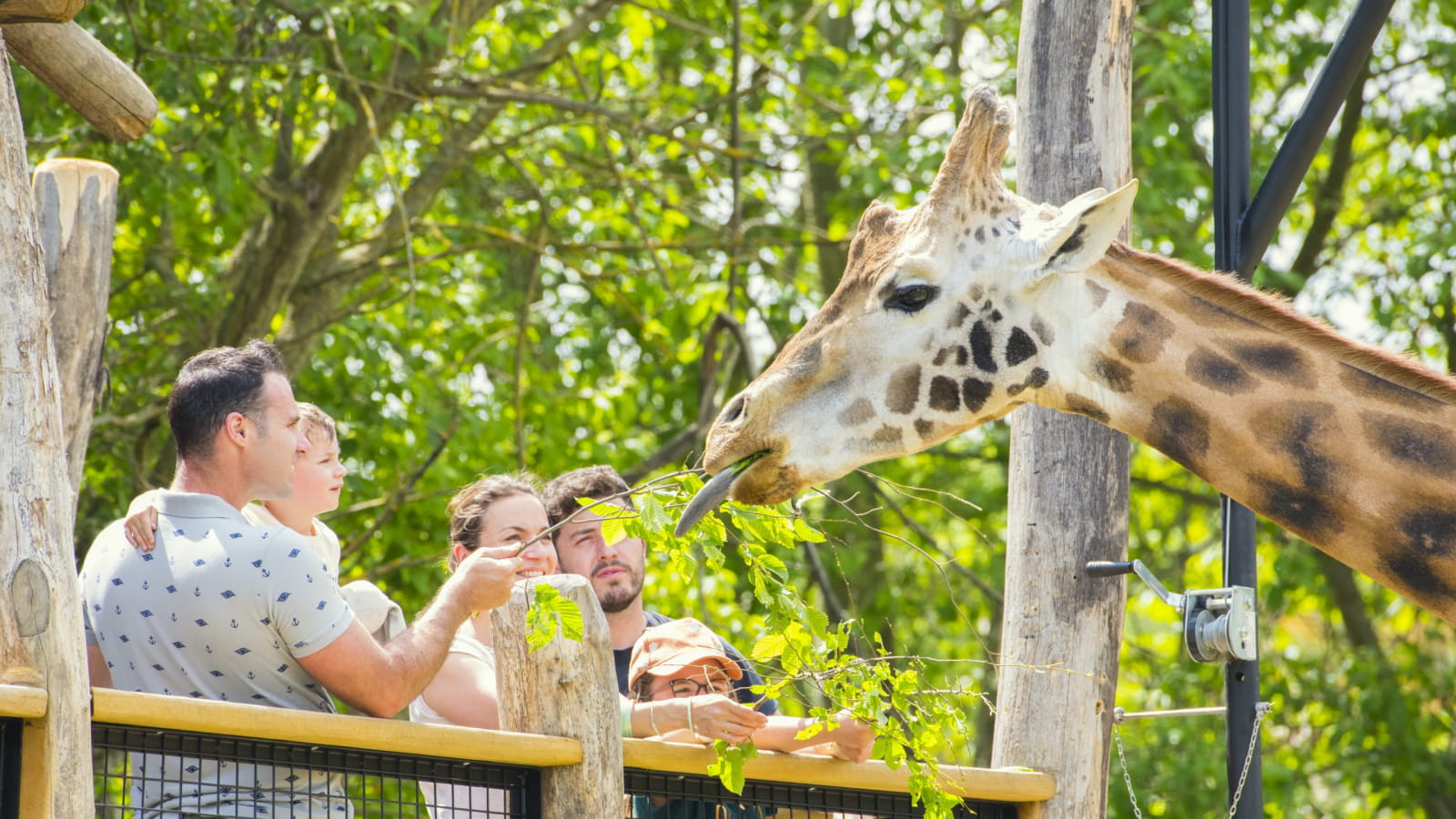 Girafe - Rhinoceros - Zoo d'Amnéville