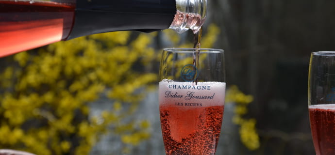 Visita guidata e degustazione presso lo Champagne Didier Goussard