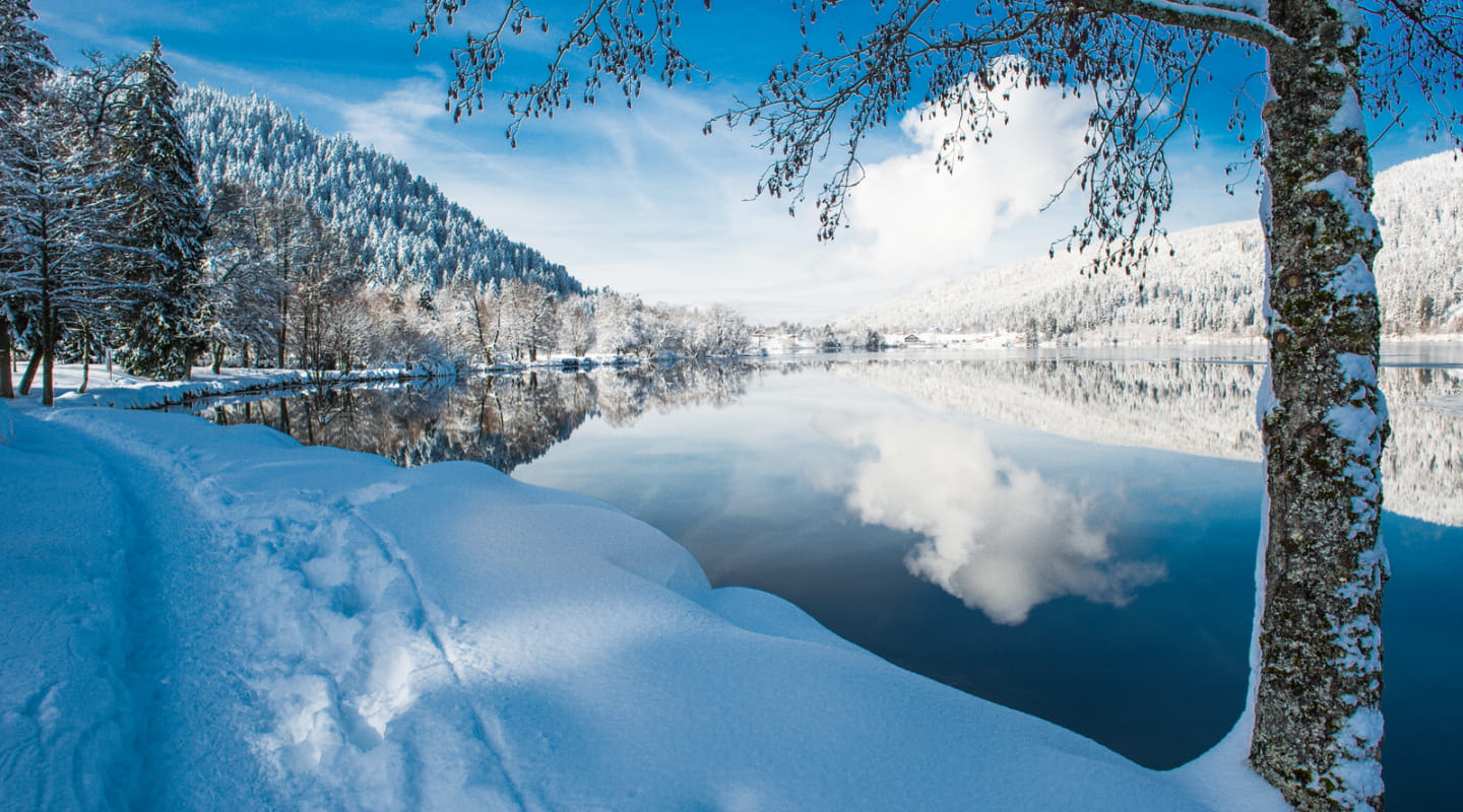 Lac de Gérardmer sous la neige