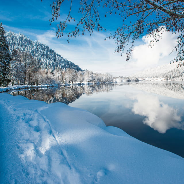 Lac de Gérardmer sous la neige