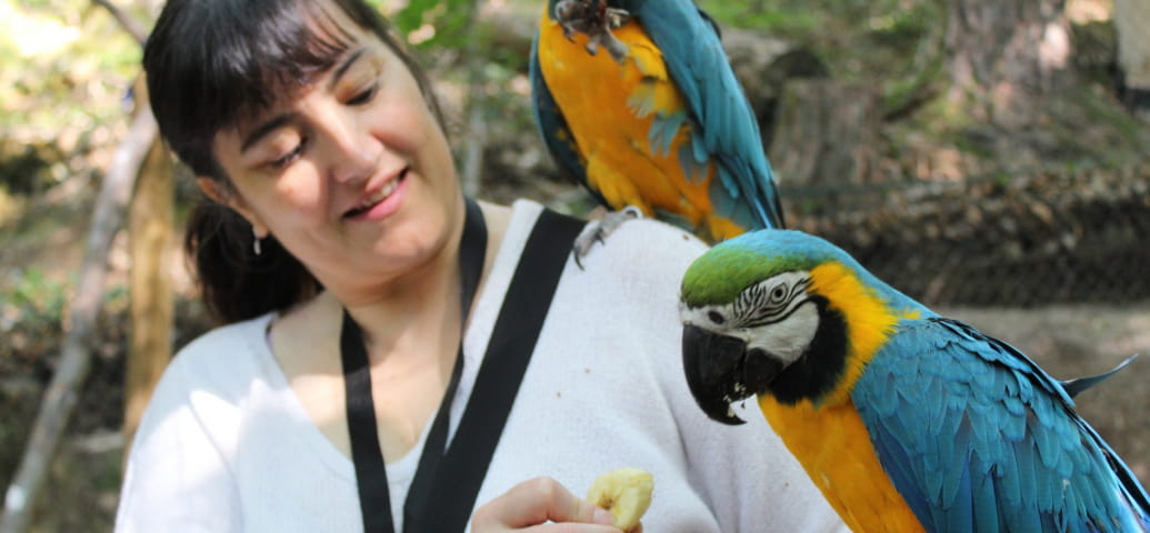 Immersione con i pappagalli: un momento indimenticabile!