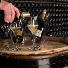 Visite de cave et dégustation – Champagne Amyot