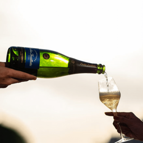 Vergleichen Sie drei Cuvées des Champagners Nicolas Feuillatte in Chouilly
