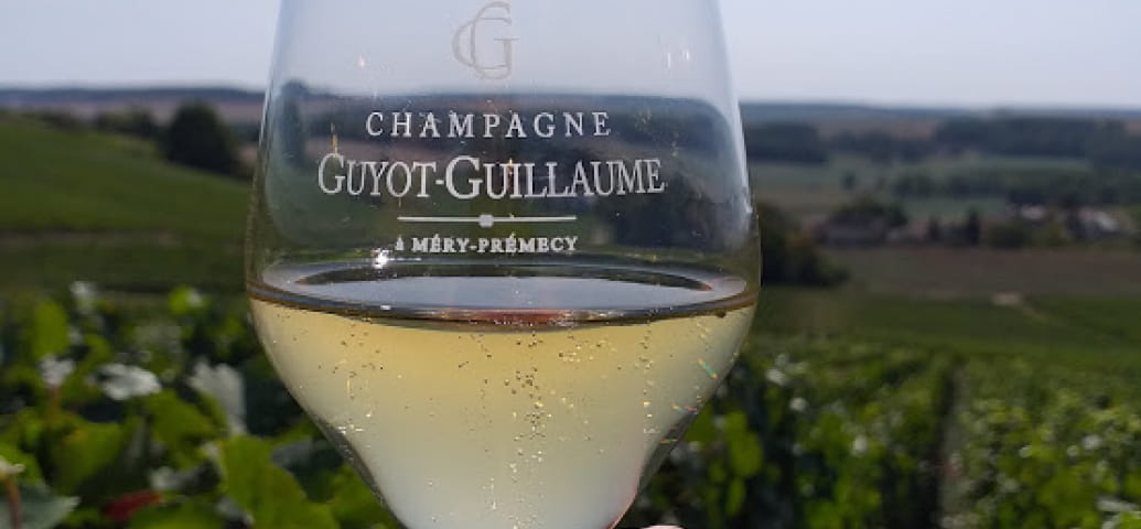 Balade et dégustation vigneronnes - Maison Guyot Guillaume