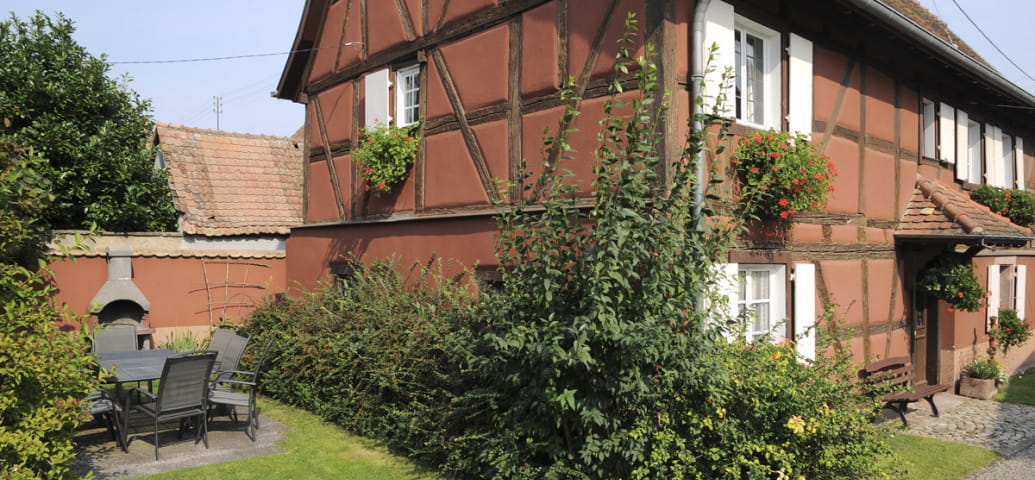 Les Tournesols en Alsace - Jebsheim