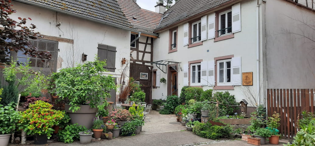 Guest house La Renardière in Reichshoffen