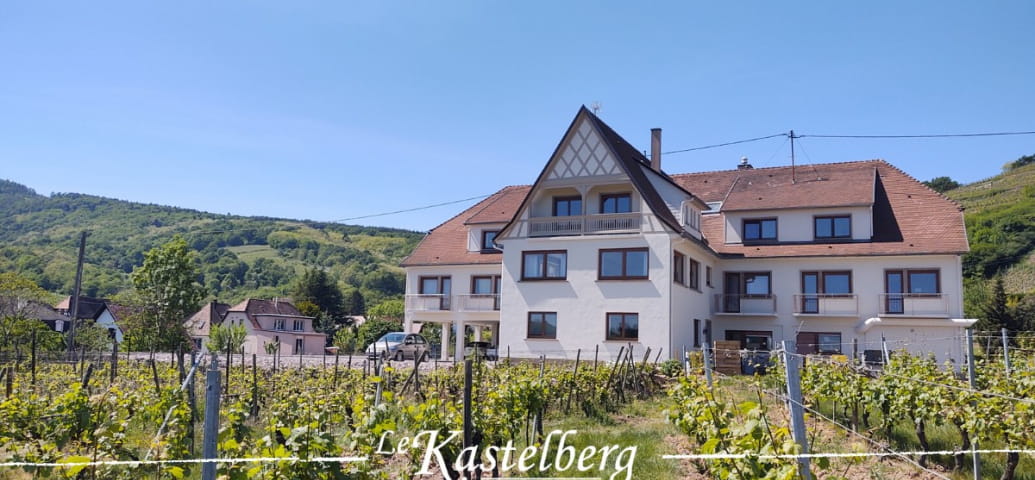 Hôtel Le Kastelberg à Andlau