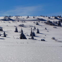 Les balcons du Lac Blanc en raquettes à neige