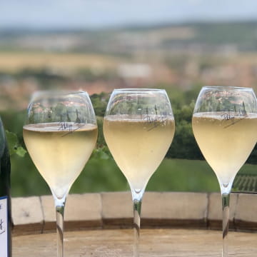Dégustation du Champagne Philippe Mallet au coeur du vignoble champenois