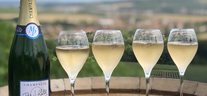 Proeverij van Champagne Philippe Mallet in het hart van de Champagne wijngaard