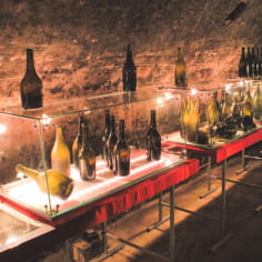 Visit of the Museum of bottles & tasting at Champagne Benoit Tassin