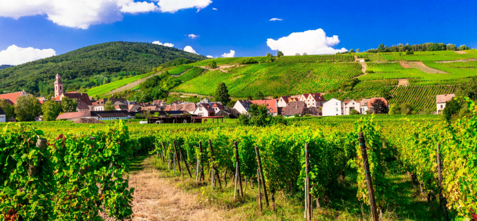 Strada del vino dell'Alsazia