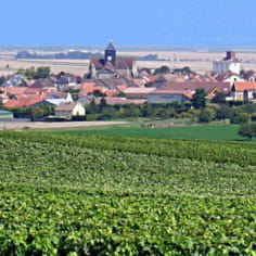 Landscape of Champagne 