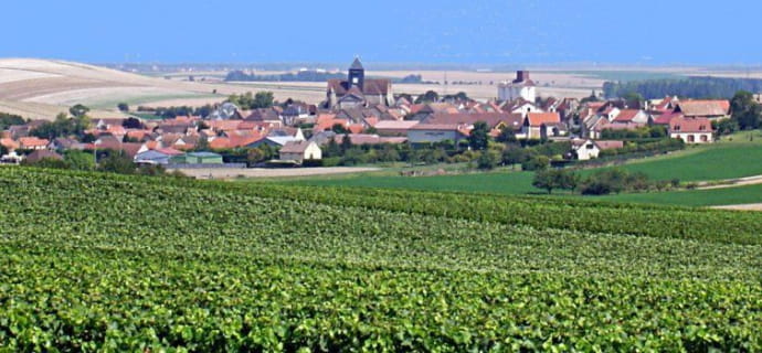 Landschap van Champagne 