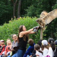 Spectacle hibou grand duc 