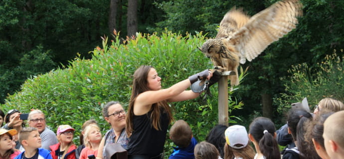 Spectacle hibou grand duc 