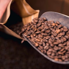Become a roaster for a day with Miguel Coffee
