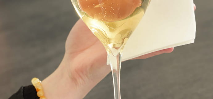 Tasting of a vintage at Champagne Bauchet