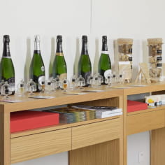 Besuch und Verkostung bei Champagne Bauchet