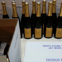 Cellar visit and tasting at Champagne Poirot