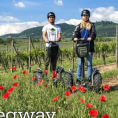 Gift Voucher - Oenophile Segway ride in Eguisheim and its vineyard