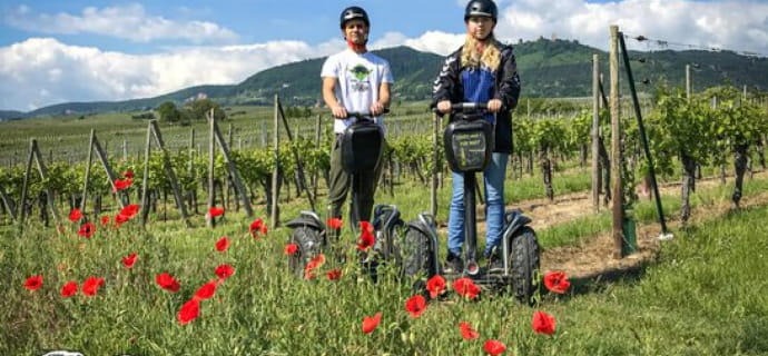 Gift Voucher - Oenophile Segway ride in Eguisheim and its vineyard