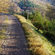 Gravel Chemin Hautes Vosges