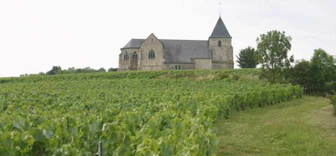 A day tour in Champagne with Vinotilus
