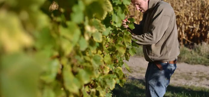 Partagez le casse-croûte du vigneron au Domaine Schneider Jean Marc