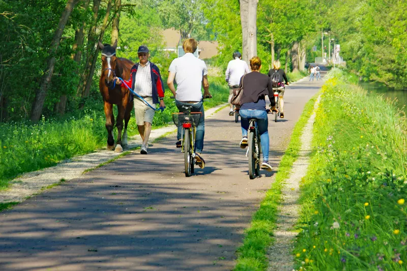 Séjour à vélo en étoile autour de Colmar