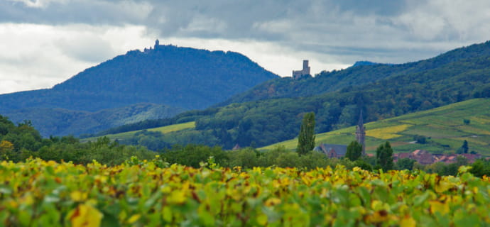 Séjour découverte des charmes de l'Alsace en itinérance vélo