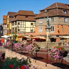 Discover the charms of Alsace on a cycling tour