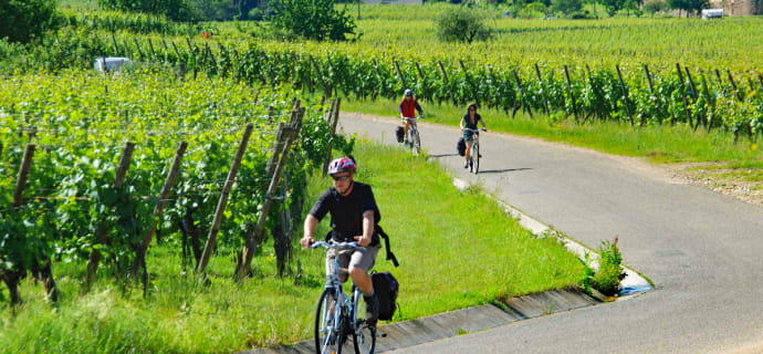 Séjour découverte des charmes de l'Alsace en itinérance vélo