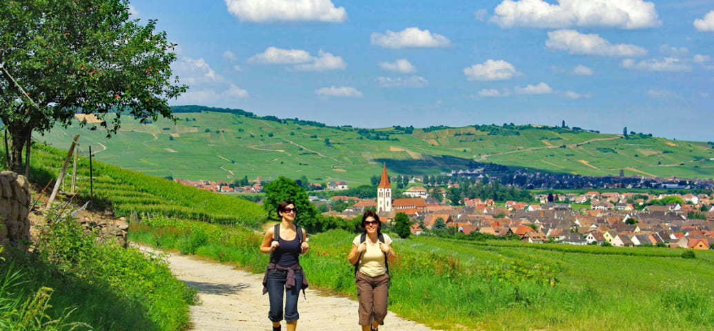 Séjour de randonnée entre les Ballons et vignobles d'Alsace