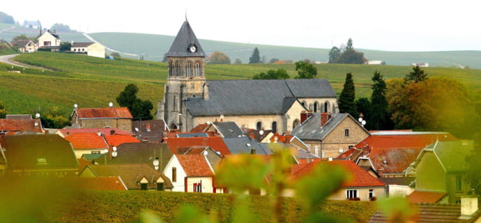 A day in Champagne with Vinotilus