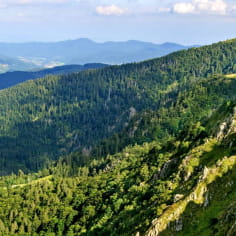 Séjour crêtes, lacs et ballons des Vosges en itinérance pédestre
