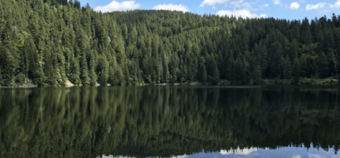 Rallye Lacs Vosgiens Vosges Explorer