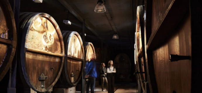 Immersive cellar visit and tasting of 5 Alsace wines