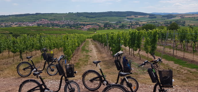 Découverte des vins et du vignoble alsacien à vélo électrique