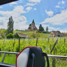 Tour of the Pearls of the Vineyard from Strasbourg