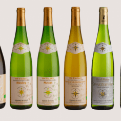 Alsace wines, a whole universe !