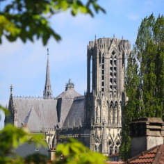 Guided tour: discovery tour of Reims