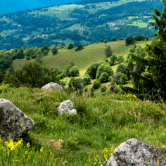 Séjour randonnée et yoga dans les Vosges