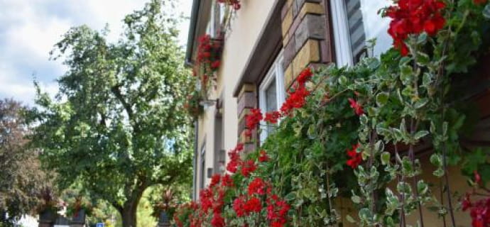 Stay at the Hotel Deybach in Munster