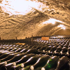 Champagnerverkostung auf dem Weingut Godmé 