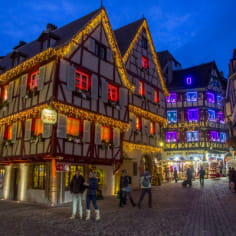 Escapade à la découverte des villages Alsaciens et du marché de Noël de Colmar
