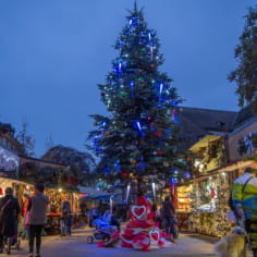 Escapade à la découverte des villages Alsaciens et du marché de Noël de Colmar